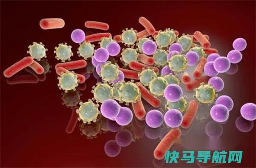 “阿莫西林”是消炎药吗?提醒:真正的消炎药是这2种,切莫滥用 第2张