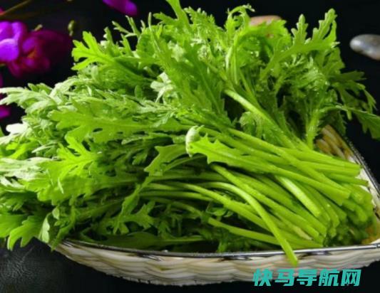 茼蒿过夜还能吃吗？茼蒿发苦能吃吗？