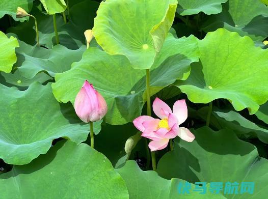 夏天天气热吃什么好？2023年夏天会有多热