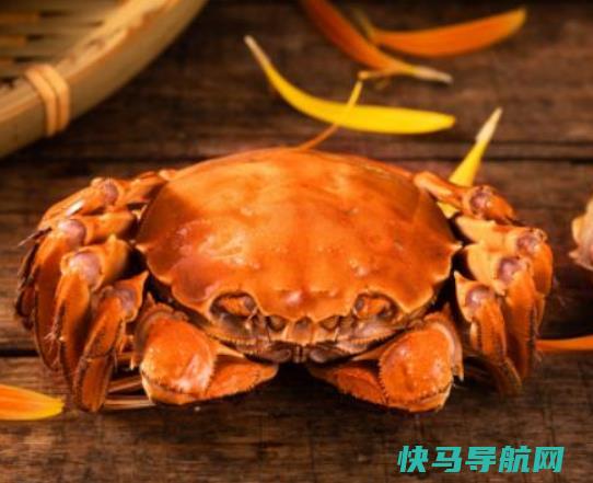 梭子蟹的肉吃起来是Q弹的还是粉的？梭子蟹肉质像泥一样怎么回事
